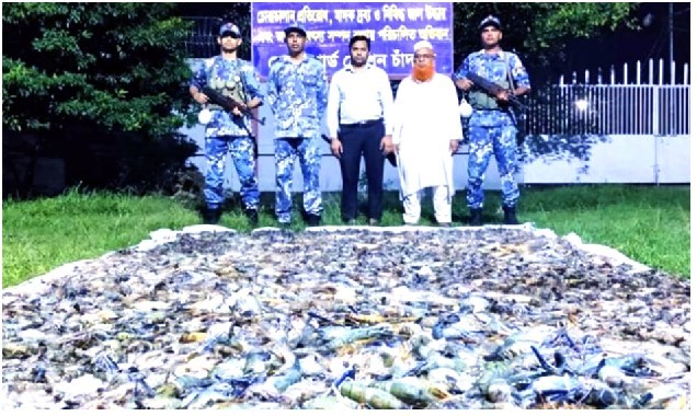 চাঁদপুরের বাজারে বিক্রির সময় এক হাজার কেজি জেলিযুক্ত চিংড়ি জব্দ